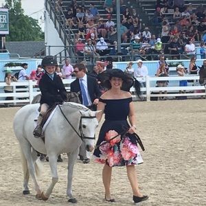 Joseph Ribkoff Amazing Dress